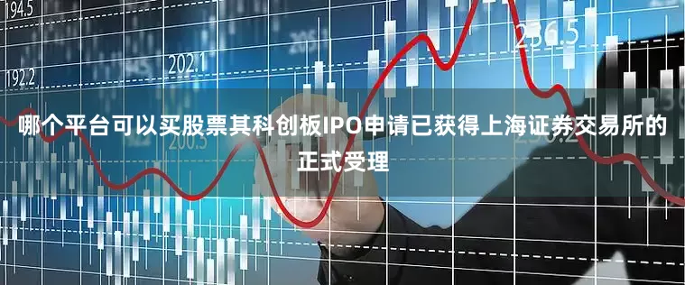 哪个平台可以买股票其科创板IPO申请已获得上海证券交易所的正式受理