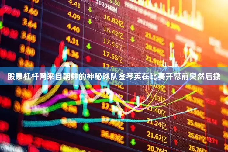 股票杠杆网来自朝鲜的神秘球队金琴英在比赛开幕前突然后撤