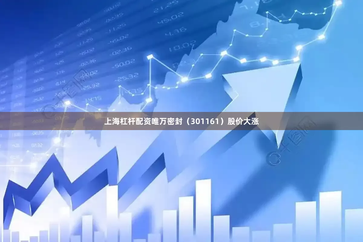 上海杠杆配资唯万密封（301161）股价大涨