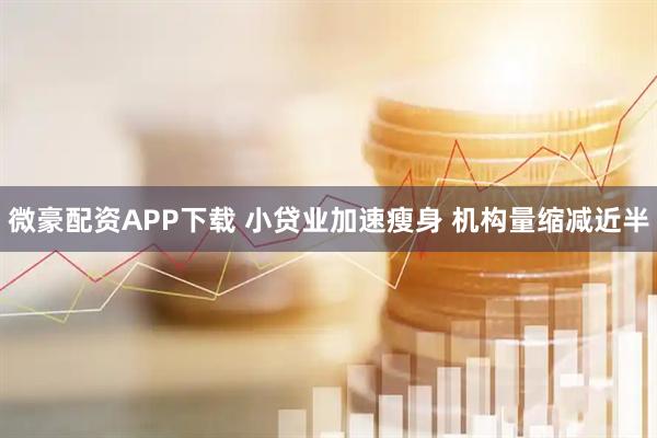 微豪配资APP下载 小贷业加速瘦身 机构量缩减近半