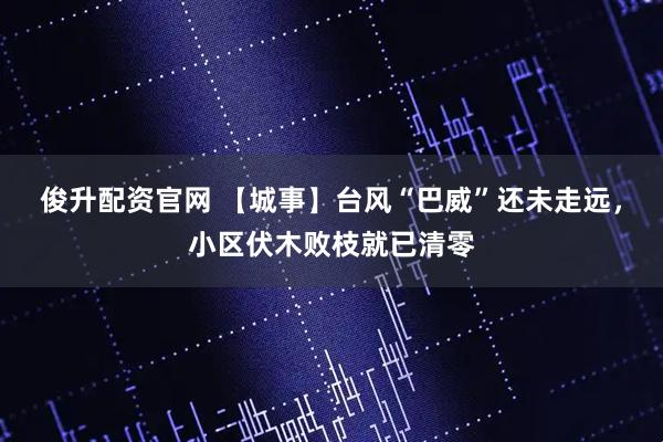 俊升配资官网 【城事】台风“巴威”还未走远，小区伏木败枝就已清零
