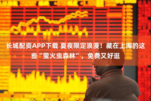 长城配资APP下载 夏夜限定浪漫！藏在上海的这些“萤火虫森林”，免费又好逛